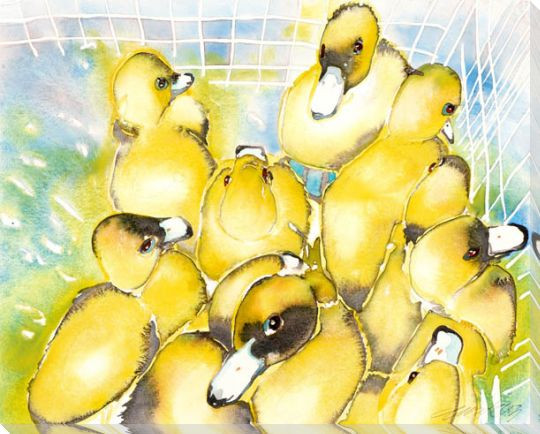 Les Quacks Ducks Wrapped Canvas Giclee Print Wall Art