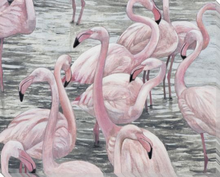 Flamingo Bird Bay Wrapped Canvas Giclee Print Wall Art