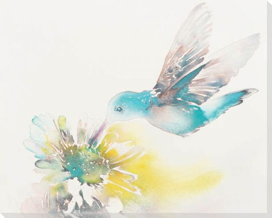 Hummy Hummingbird Wrapped Canvas Giclee Print Wall Art