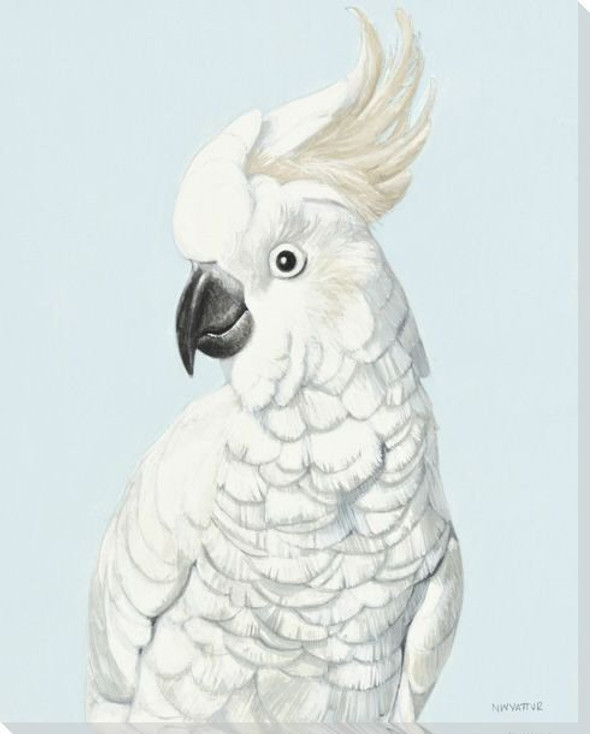 Cockatoo Bird Pose Wrapped Canvas Giclee Print Wall Art