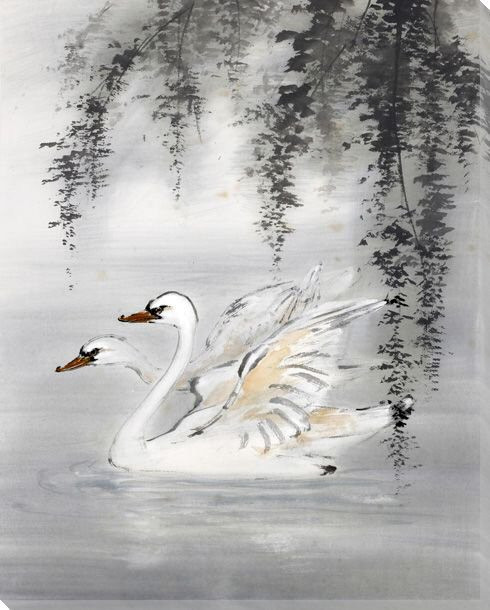 Courting Swan Birds Wrapped Canvas Giclee Print Wall Art