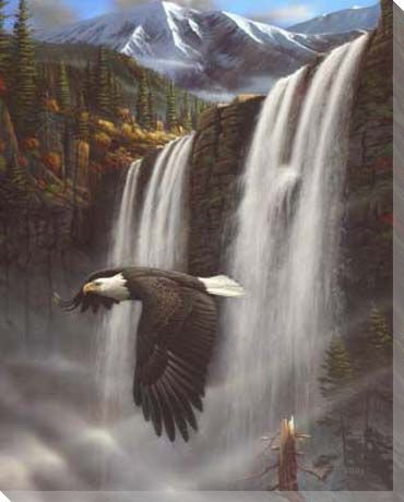 Eagle Bird Portrait Wrapped Canvas Giclee Print Wall Art