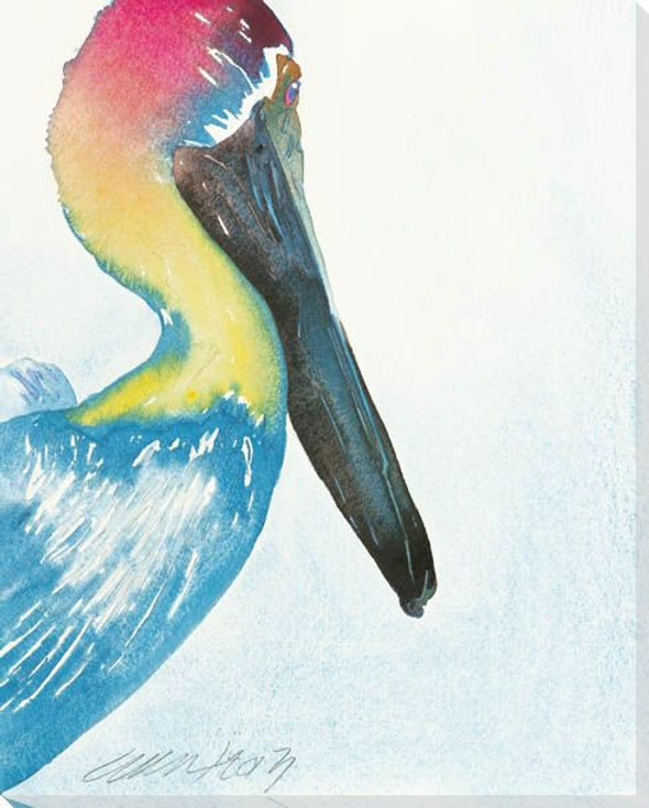 Rainbow Pelican Bird Wrapped Canvas Giclee Print Wall Art