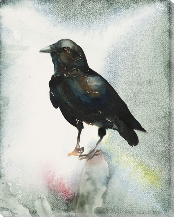 Small Black Crow Bird Wrapped Canvas Giclee Print Wall Art