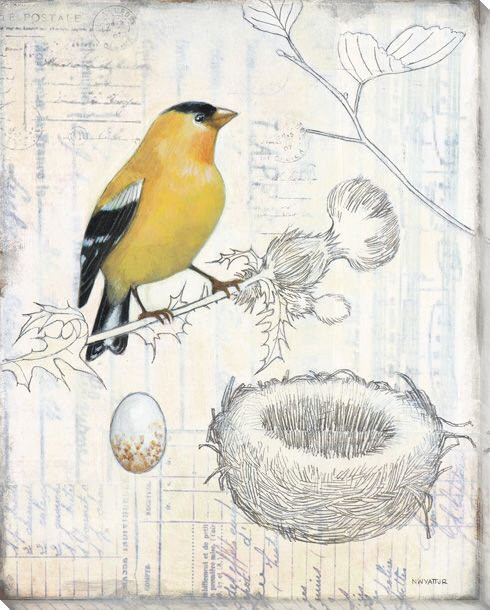 Aviary Bird Scrapbook I Wrapped Canvas Giclee Print Wall Art