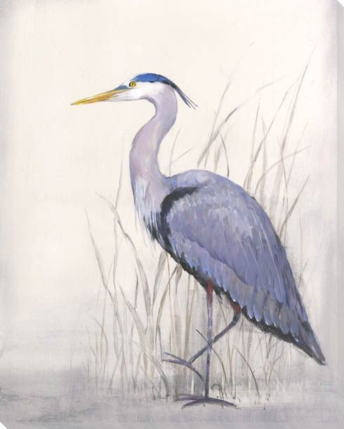 Keeping Watch Seagull II Wrapped Canvas Giclee Print Wall Art