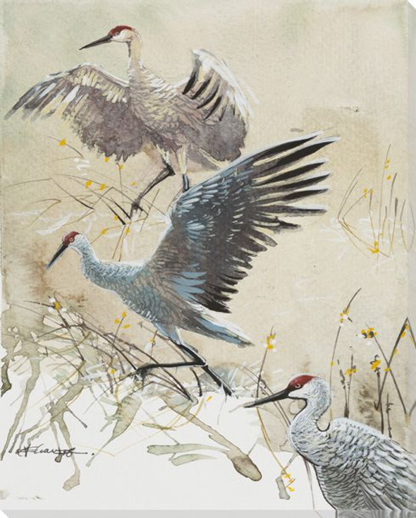 Three Sandhill Crane Birds Wrapped Canvas Giclee Print Wall Art