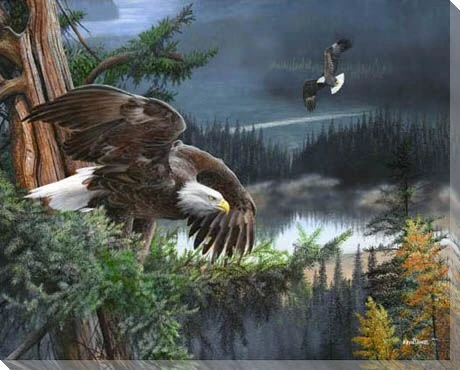 Wings of Freedom Eagle Bird Wrapped Canvas Giclee Print Wall Art