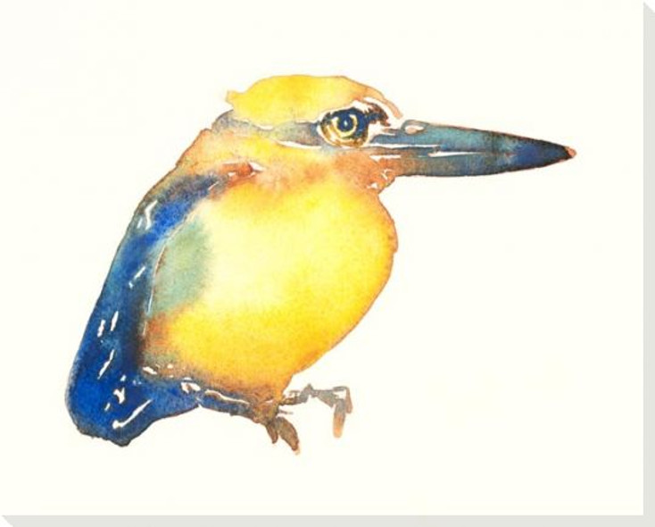 Micronesian Kingfisher Bird Wrapped Canvas Giclee Art Print Wall Art