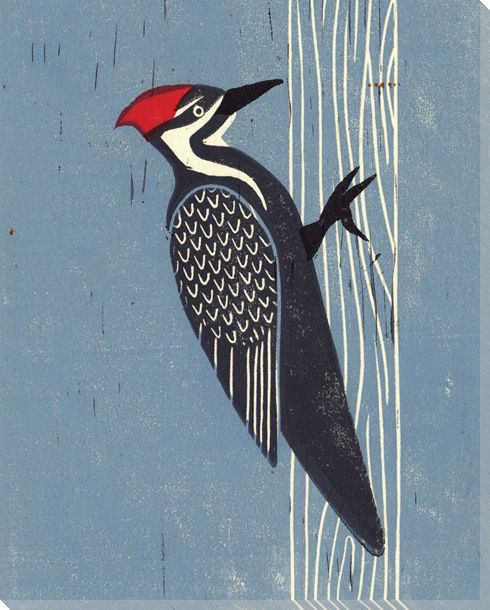Woodpecker Bird Wrapped Canvas Giclee Print Wall Art