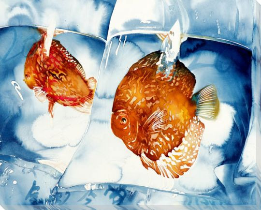 Bagged Joy Fish Wrapped Canvas Giclee Print Wall Art