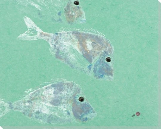 Knobhead Porgy Fish Wrapped Canvas Giclee Print Wall Art