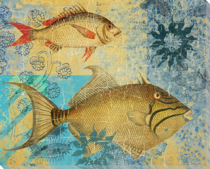 Caribbean Cove Fish 4 Wrapped Canvas Giclee Print Wall Art