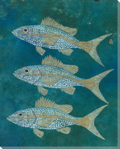Yellow Sea Yellowtail Snapper Fish Wrapped Canvas Giclee Print