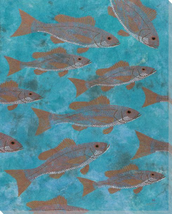 Vermilion Cloud Snapper Fish Wrapped Canvas Giclee Print Wall Art