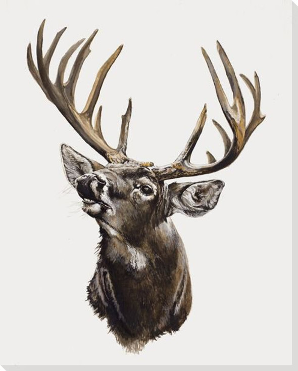 Deer Head Wrapped Canvas Giclee Print Wall Art