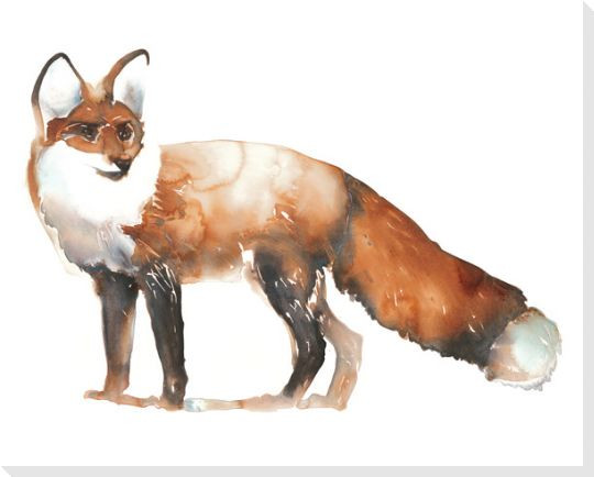 Fox Looking Wrapped Canvas Giclee Print Wall Art