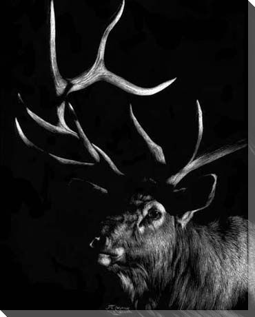 Attitude Deer Wrapped Canvas Giclee Print Wall Art