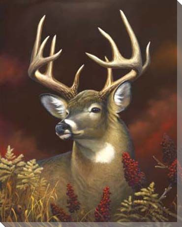 Deer Portrait Wrapped Canvas Giclee Print Wall Art