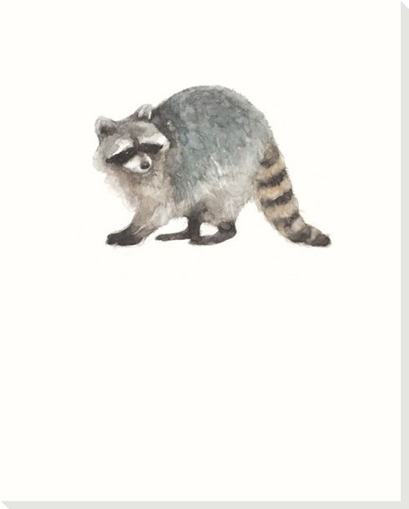 Woodland Raccoon Wrapped Canvas Giclee Print Wall Art