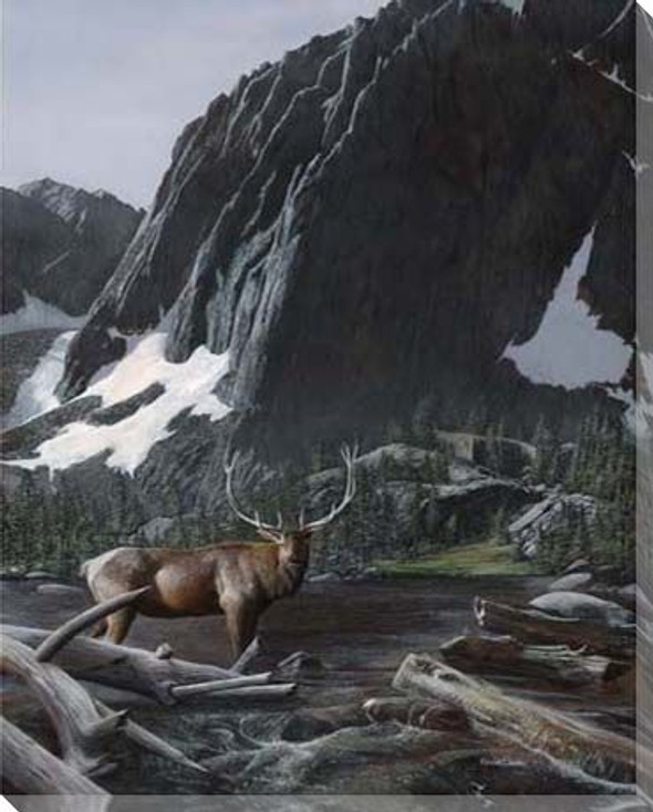 Mountainside Elk I Wrapped Canvas Giclee Print Wall Art