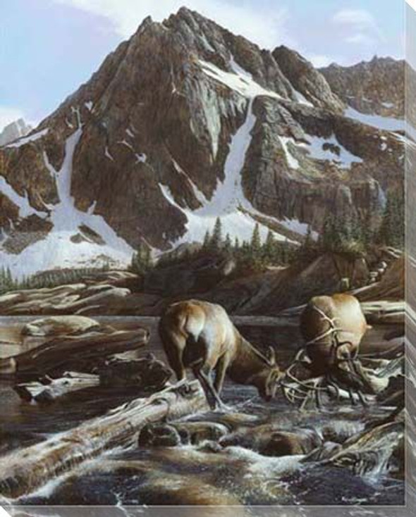 Mountainside Elk II Wrapped Canvas Giclee Print Wall Art