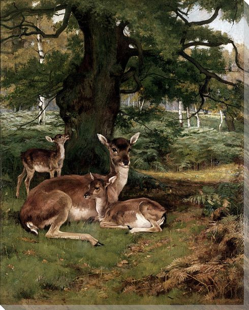 Woodlands Deer 1891 Wrapped Canvas Giclee Print Wall Art