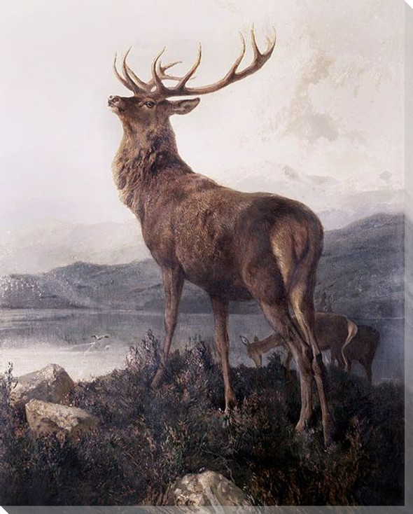 Monarch of the Glen Wrapped Canvas Giclee Print Wall Art
