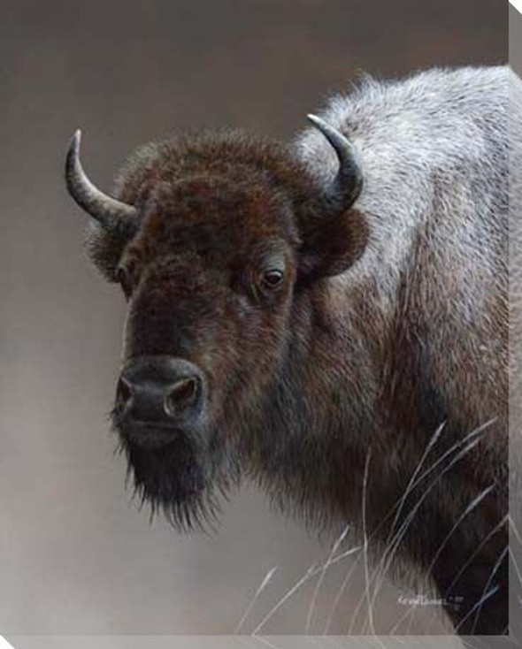 American Icon Buffalo Wrapped Canvas Giclee Print Wall Art