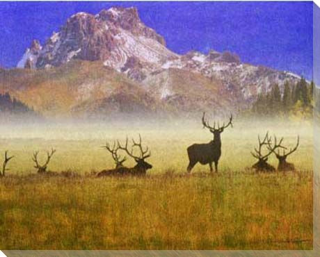 Bull Elk on the Range Wrapped Canvas Giclee Print Wall Art