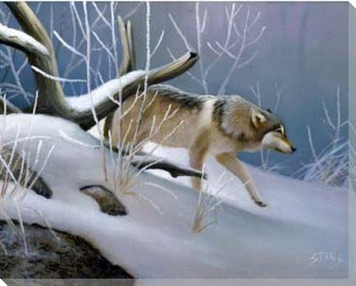 Lone Wolf in the Snow Wrapped Canvas Giclee Print Wall Art