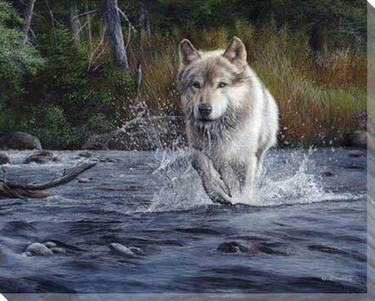 The Crossing Wild Wolf Wrapped Canvas Giclee Print Wall Art