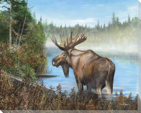At Rivers Edge Moose II Wrapped Canvas Giclee Print Wall Art
