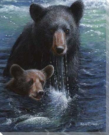 Bearly Swimming Bear and Her Cub Wrapped Canvas Giclee Print