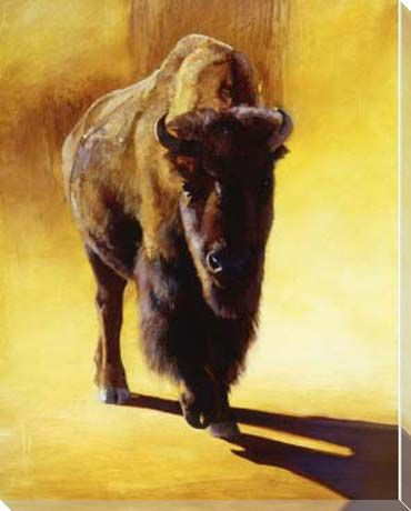 Matriarch Buffalo Walking Wrapped Canvas Giclee Print Wall Art
