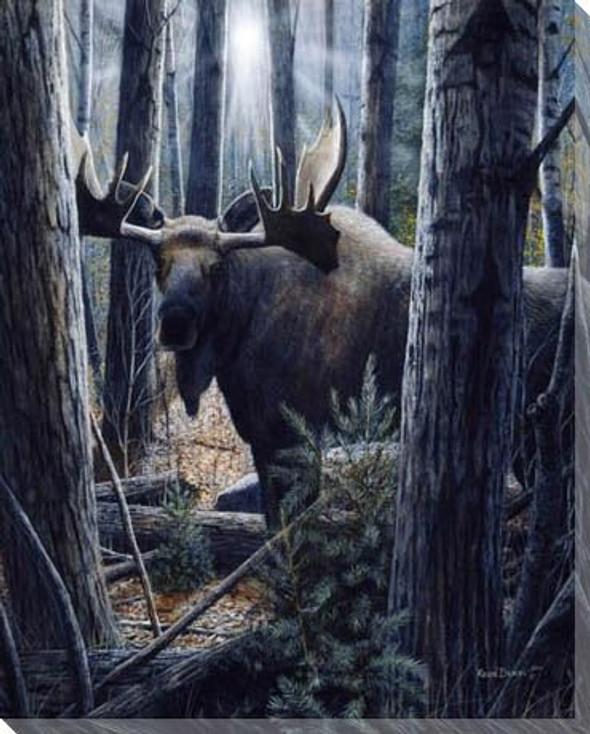King of the Northwoods Moose Wrapped Canvas Giclee Print Wall Art