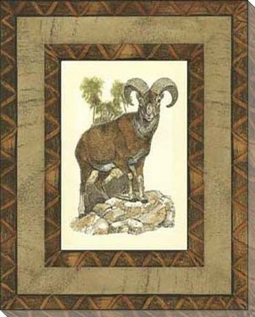 Printed Rustic Big Horn Sheep Wrapped Canvas Giclee Print Wall Art