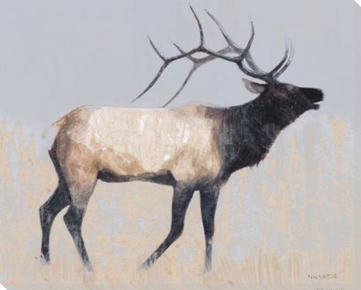 Rustic Elk Wrapped Canvas Giclee Print Wall Art