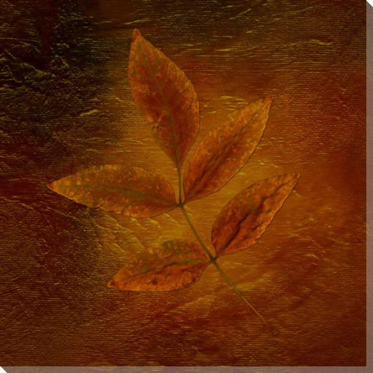 Autumn Leaves Six Wrapped Canvas Giclee Print Wall Art