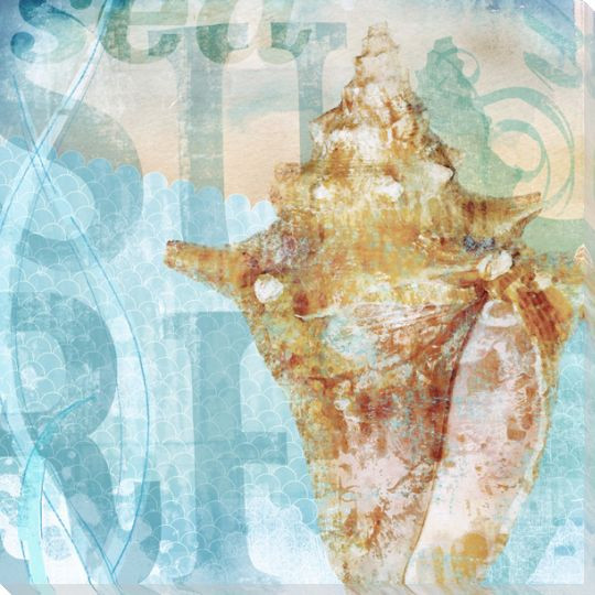 Seashells 4 Wrapped Canvas Giclee Print Wall Art