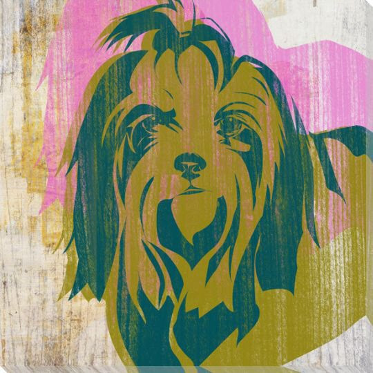 Pick the Shih Tzu Dog Wrapped Canvas Giclee Print Wall Art