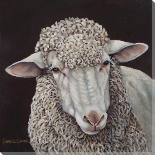 Sheep Wrapped Canvas Giclee Print Wall Art