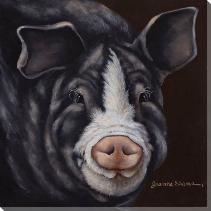Cute Pig Wrapped Canvas Giclee Print Wall Art