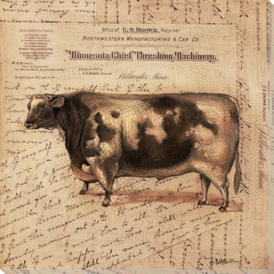 Heifer Cow 1 Wrapped Canvas Giclee Print Wall Art