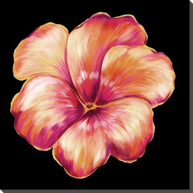 Orange Pansy Flower Wrapped Canvas Giclee Print Wall Art