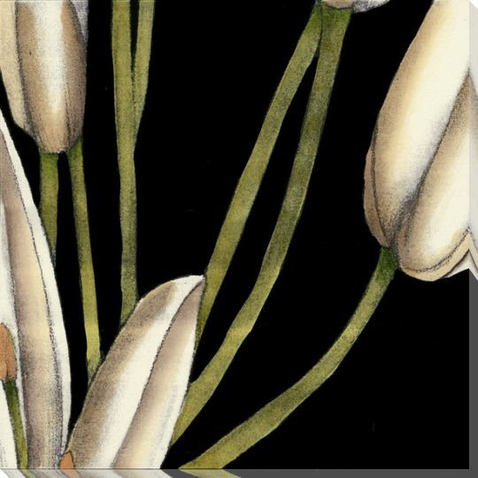 White Graphic Lily Flower MR Wrapped Canvas Giclee Print Wall Art