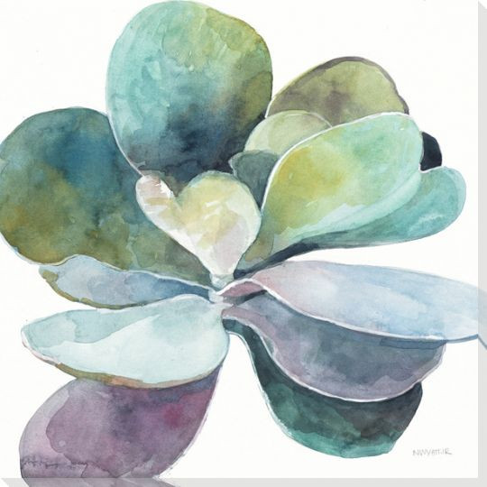 Colorful Succulent Flower 3 Wrapped Canvas Giclee Print Wall Art