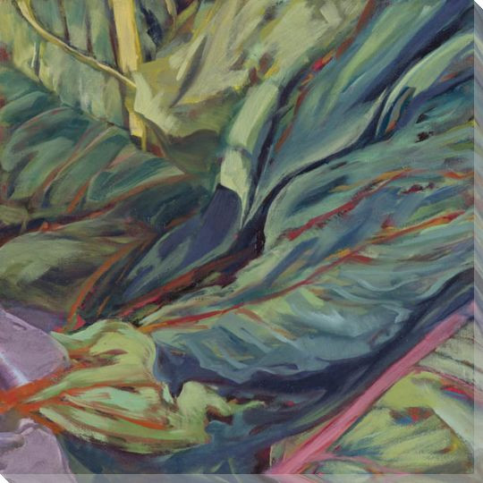 Colorful Stemmed Swiss Chard Wrapped Canvas Giclee Print Wall Art