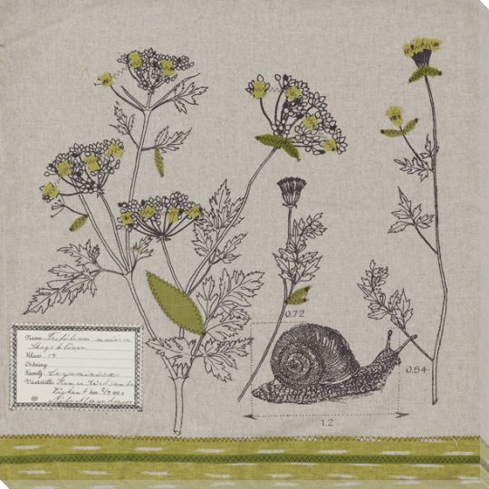 Field #3 Snail Wrapped Canvas Giclee Print Wall Art