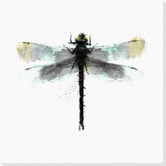 Inked Dragonfly 2 Wrapped Canvas Giclee Print Wall Art